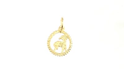 10k Gold Zodiac Pendant